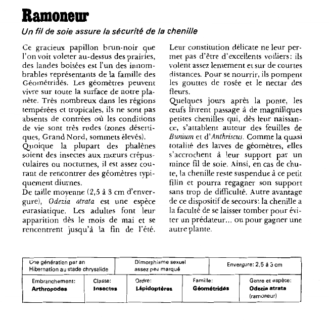 Prévisualisation du document Ramoneur:Un fil de soie assure la sécurité de la chenille.