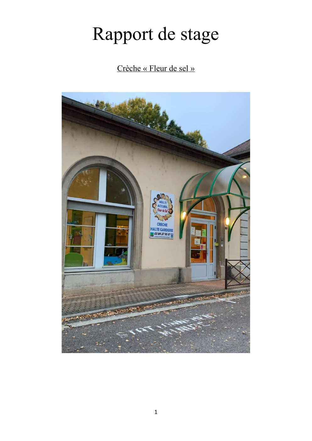Prévisualisation du document Rapport de stage Crèche « Fleur de sel »