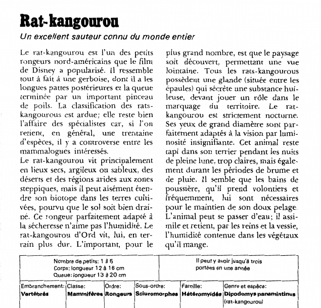 Prévisualisation du document Rat-kangourou:Un excellent sauteur connu du monde entierLe rat-kangourou est l'un des petits rongeurs nord-américains que le film de Disney a popularisé.