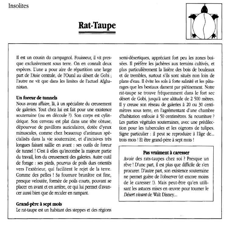 Prévisualisation du document Rat-Taupe.