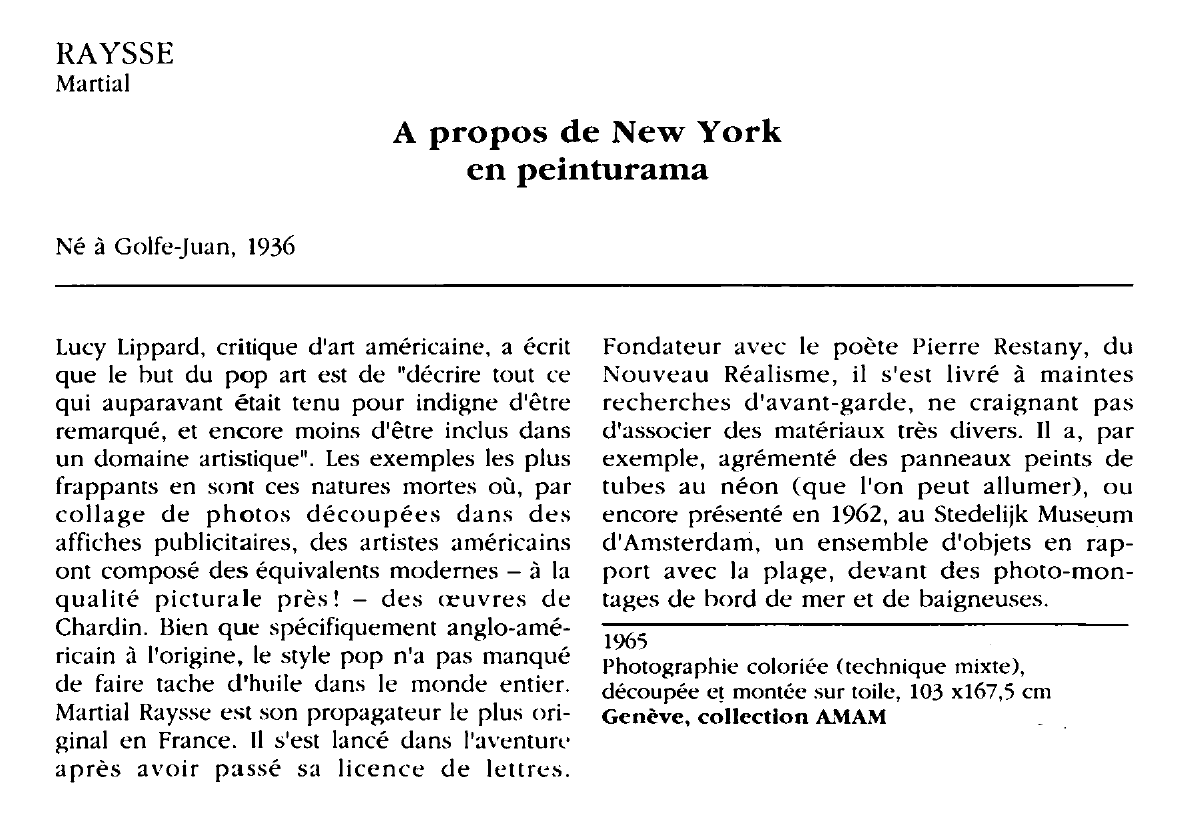 Prévisualisation du document RAYSSE Martial : A propos de New York en peinturama