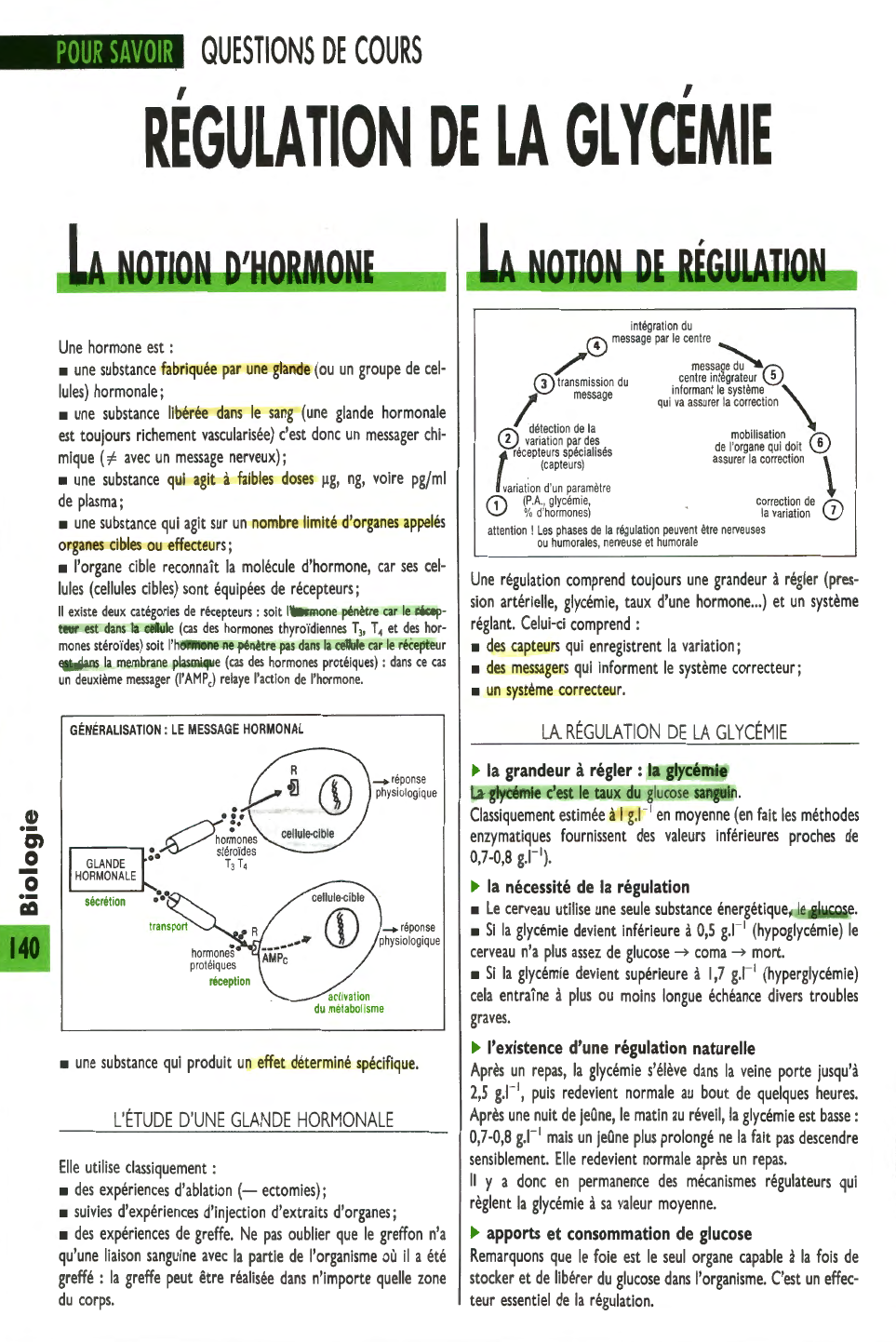 Prévisualisation du document RÉGULATION DE LA GLYCÉMIE