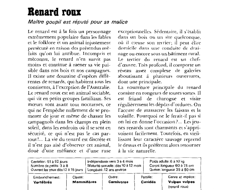Prévisualisation du document Renard roux:Maître goupil est réputé pour sa malice.