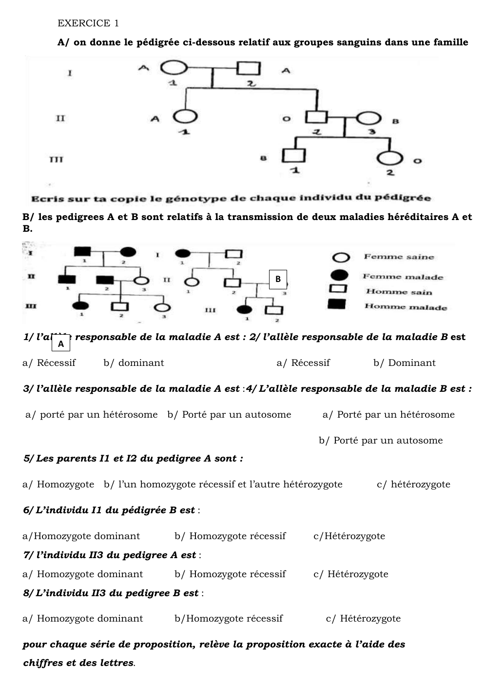 Prévisualisation du document Renfo 1er mars 2025-1.pdf