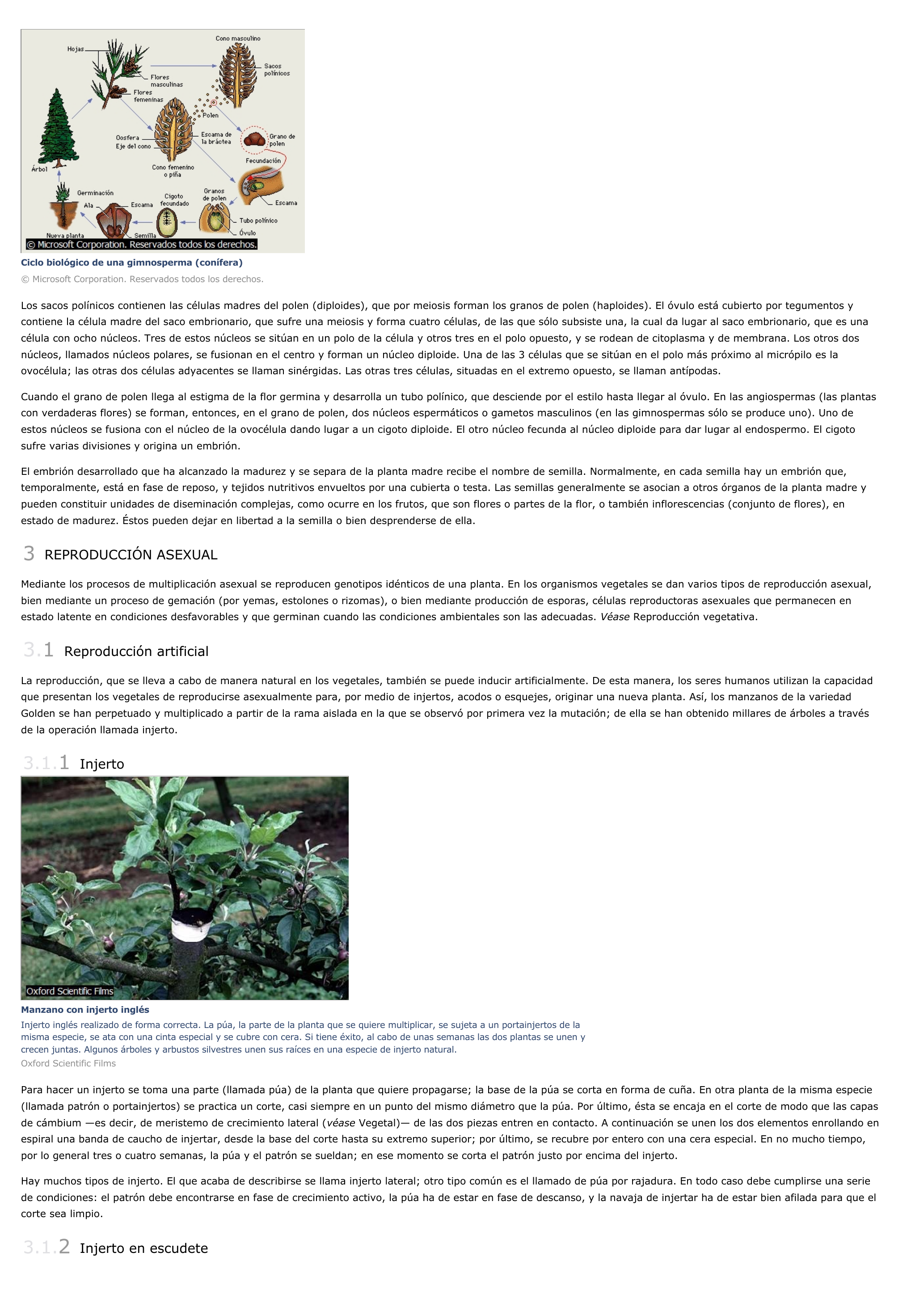 Prévisualisation du document Reproducción vegetal - ciencias de la naturaleza.