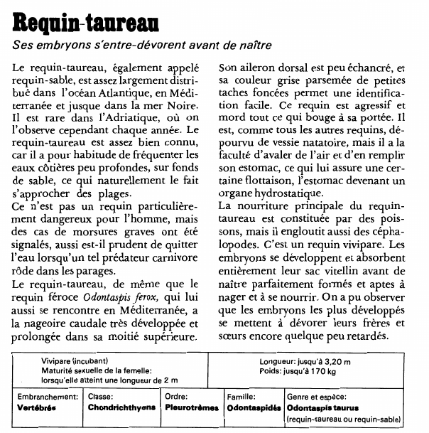 Prévisualisation du document Requin-taureauSes embryons s'entre-dévorent avant de naître.