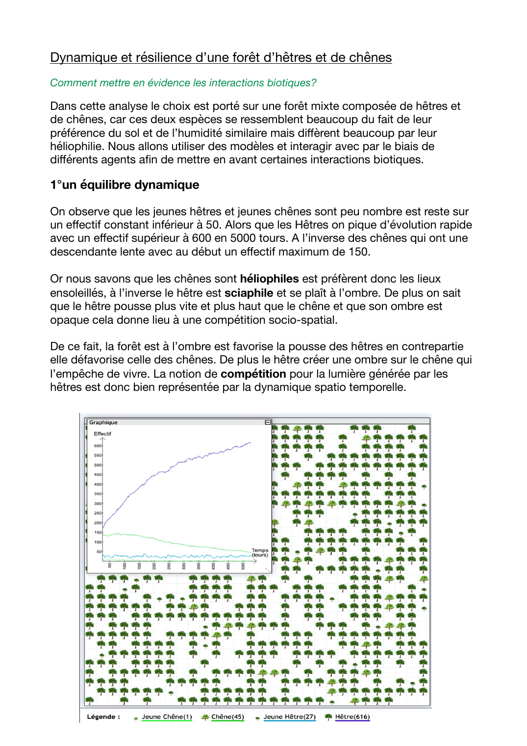 Prévisualisation du document Resilience d'une forêt d'hêtres et de chênes