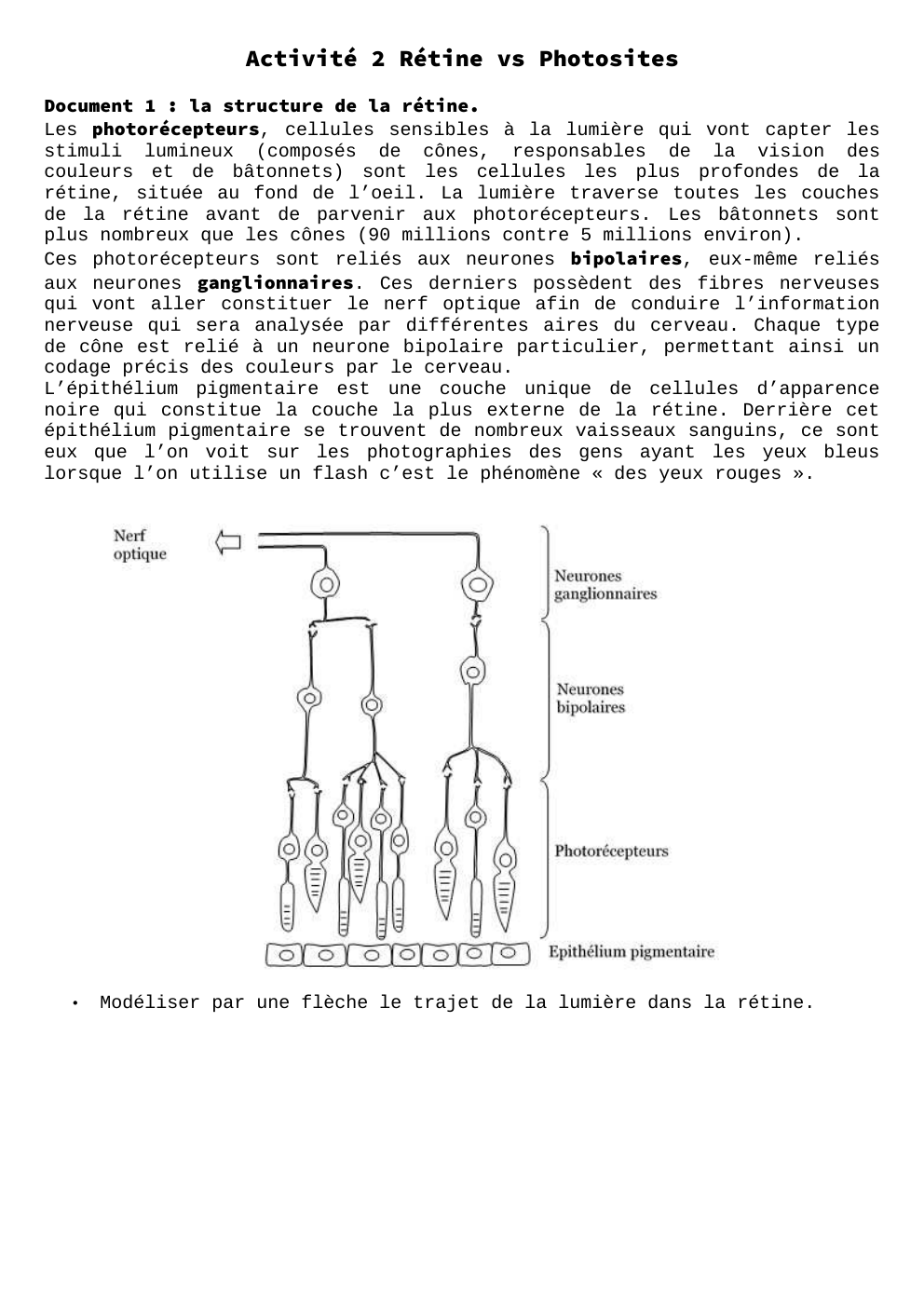 Prévisualisation du document rétine contre photosine