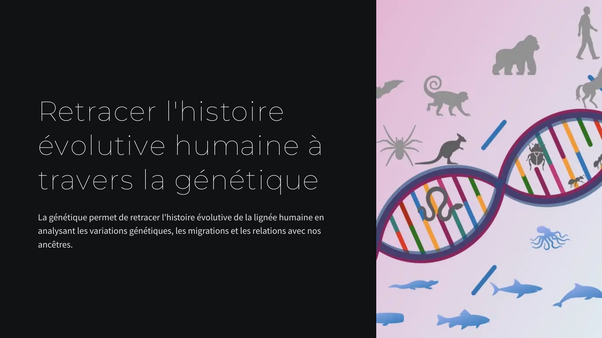 Prévisualisation du document Retracer l'histoire évolutive humaine à travers la génétique