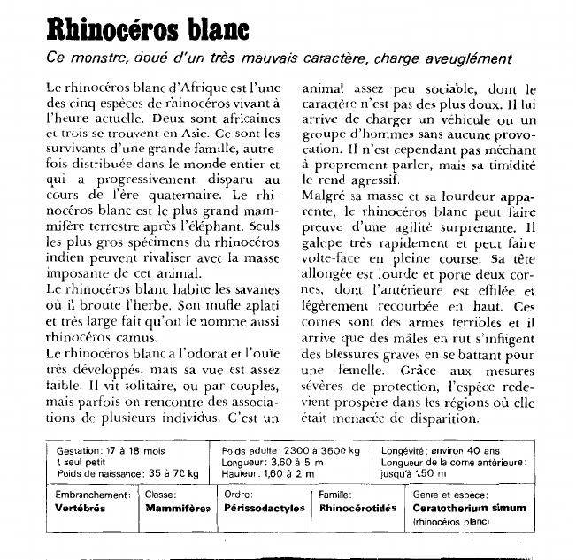 Prévisualisation du document Rhinocéros blanc:Ce monstre, doué d'un très mauvais caractère, charge aveuglément.