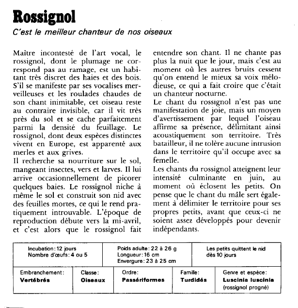 Prévisualisation du document Rossignol:C'est le meilleur chanteur de nos oiseaux.