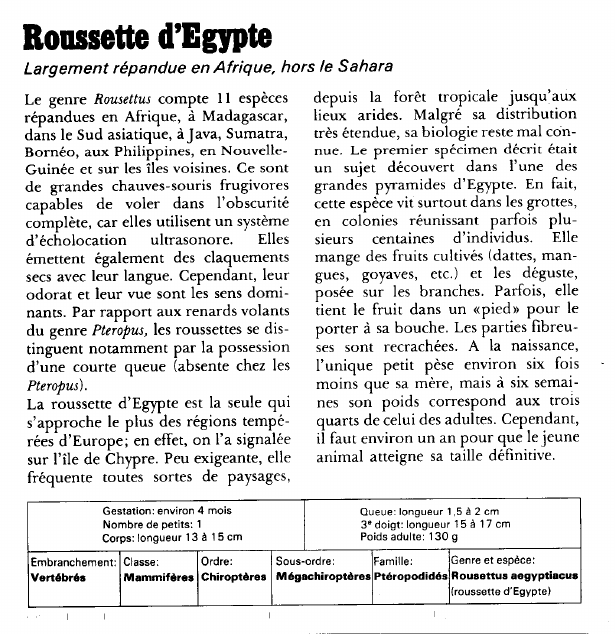 Prévisualisation du document Roussette d'Egypte:Largement répandue en Afrique, hors le Sahara.