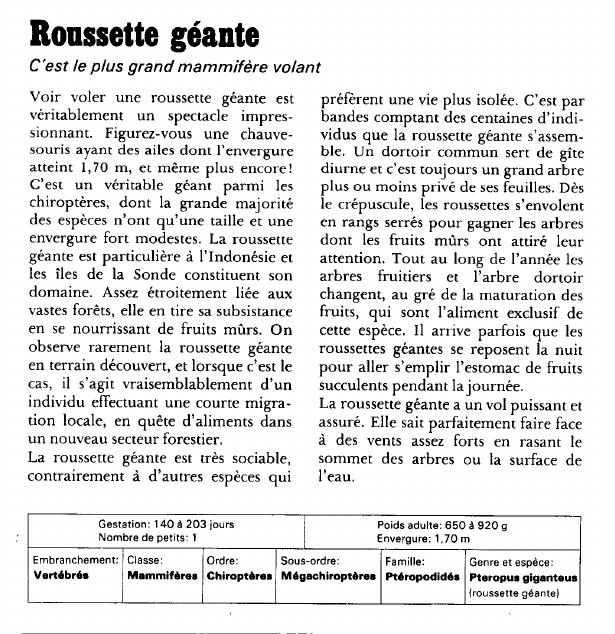 Prévisualisation du document Roussette géante:C'est le plus grand mammifère volant.