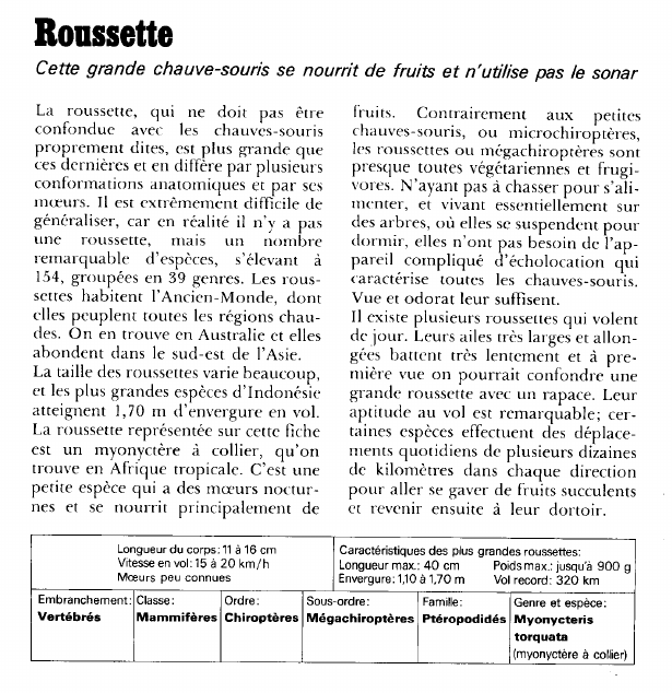 Prévisualisation du document Roussette:Cette grande chauve-souris se nourrit de fruits et n'utilise pas le sonar.