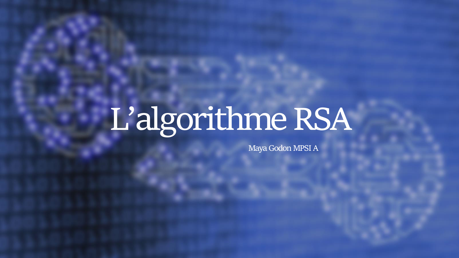 Prévisualisation du document RSA