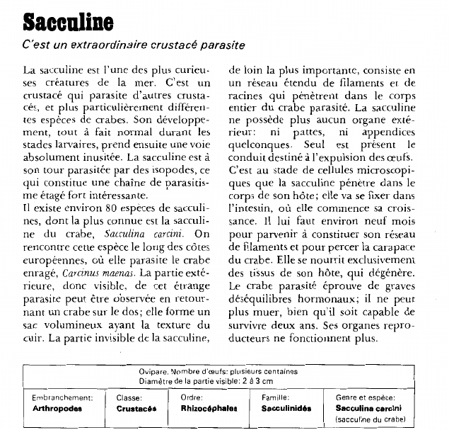 Prévisualisation du document Sacculine:C'est un extraordinaire crustacé parasite.