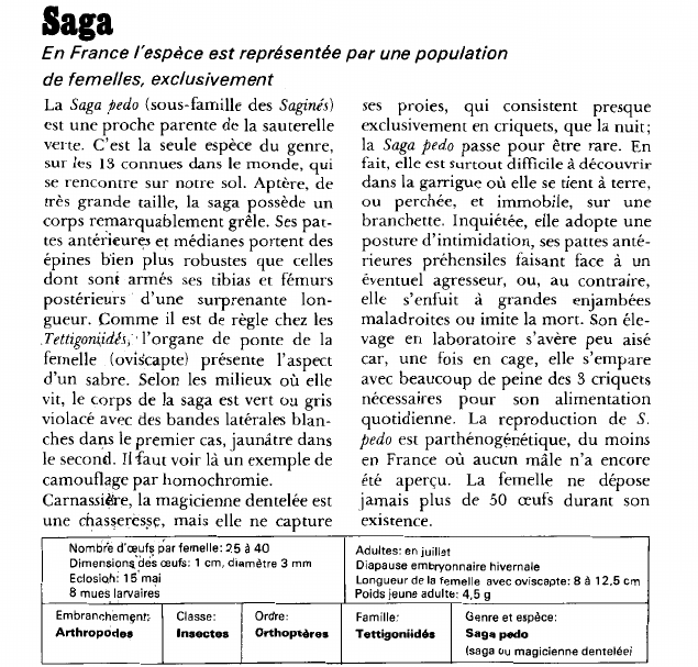 Prévisualisation du document Saga.En France l'espèce est représentée par une populationde femelles, exclusivementLa