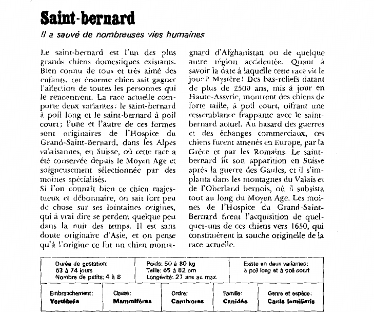 Prévisualisation du document Saint-bernard:Il a sauvé de nombreuses vies humaines.