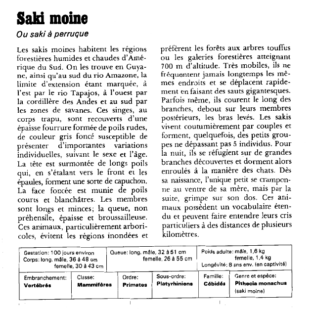 Prévisualisation du document Saki moine:Ou saki à perruque.