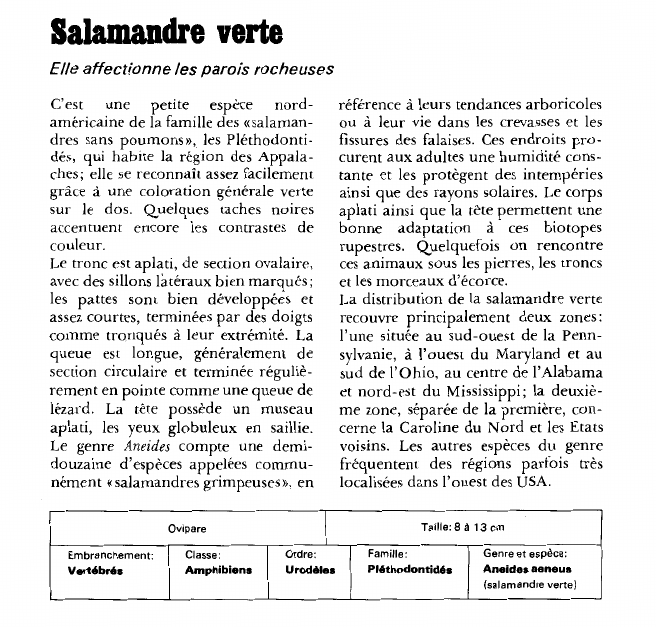 Prévisualisation du document Salamandre verte:Elle affectionne les parois rocheuses.