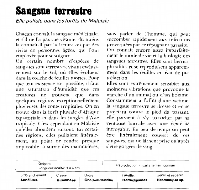 Prévisualisation du document Sangsue terrestre:Elle pullule dans les forêts de Malaisie.