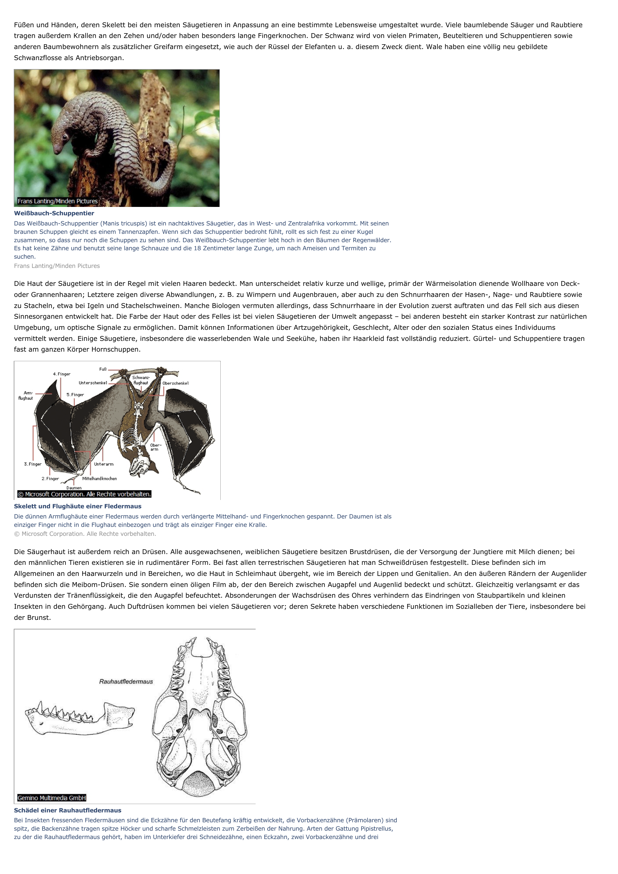 Prévisualisation du document Säugetiere - biologie.