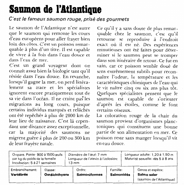 Prévisualisation du document Saumon de l'Atlantique:C'est le fameux saumon rouge, prisé des gourmets.