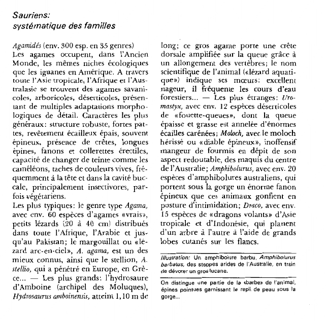Prévisualisation du document Sauriens:systématique des familles.