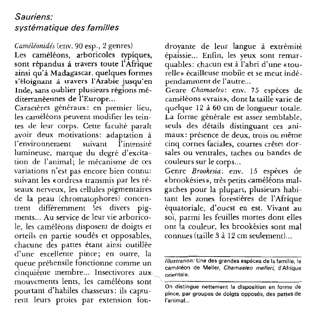 Prévisualisation du document Sauriens:systématique des familles.