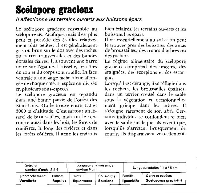 Prévisualisation du document Scélopore gracieux:Il affectionne les terrains ouverts aux buissons épars.