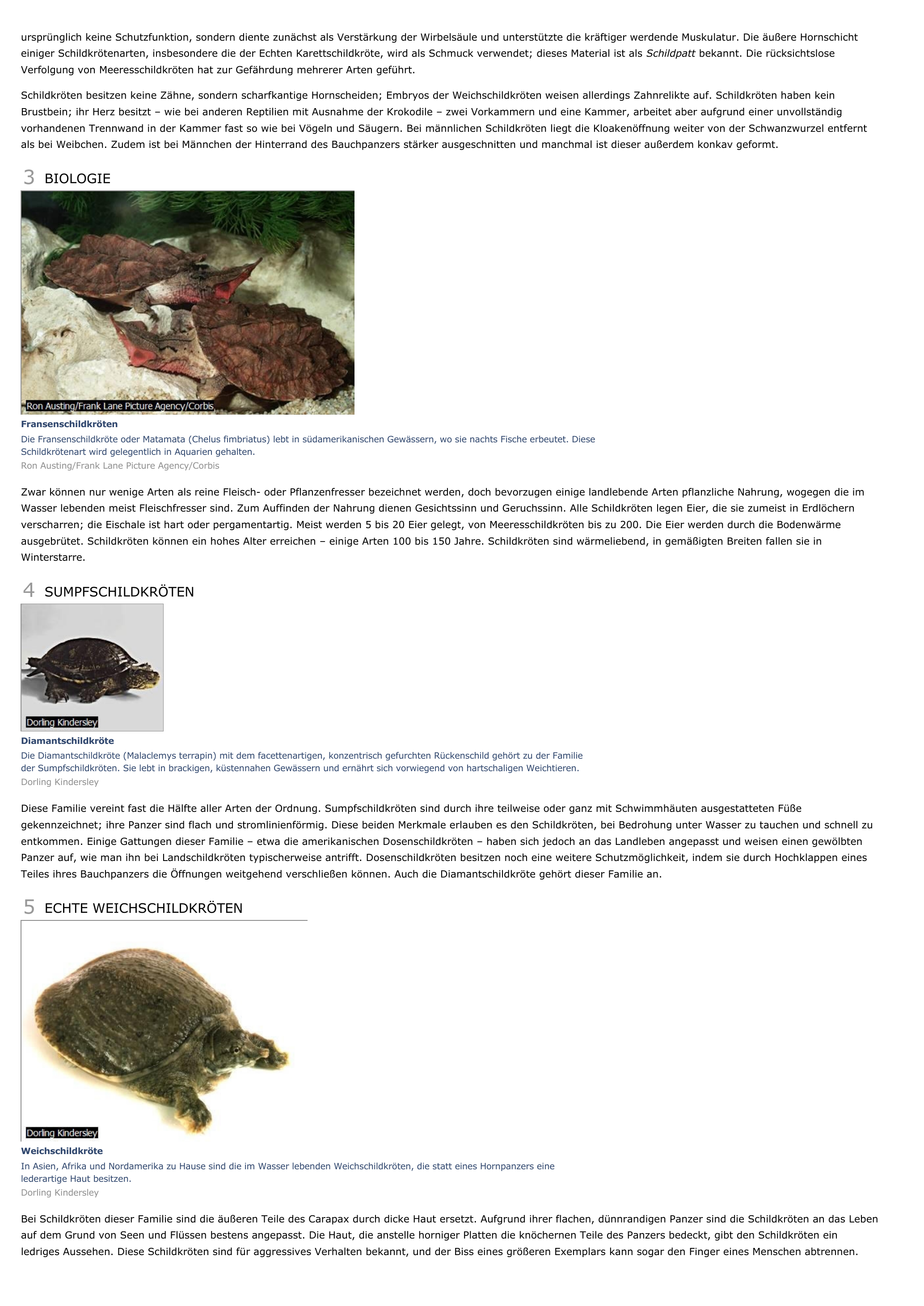 Prévisualisation du document Schildkröten - Tiere.