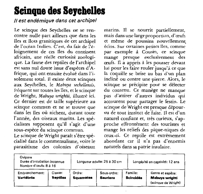 Prévisualisation du document Scinque des Seychelles:11 est endémique dans cet archipel.