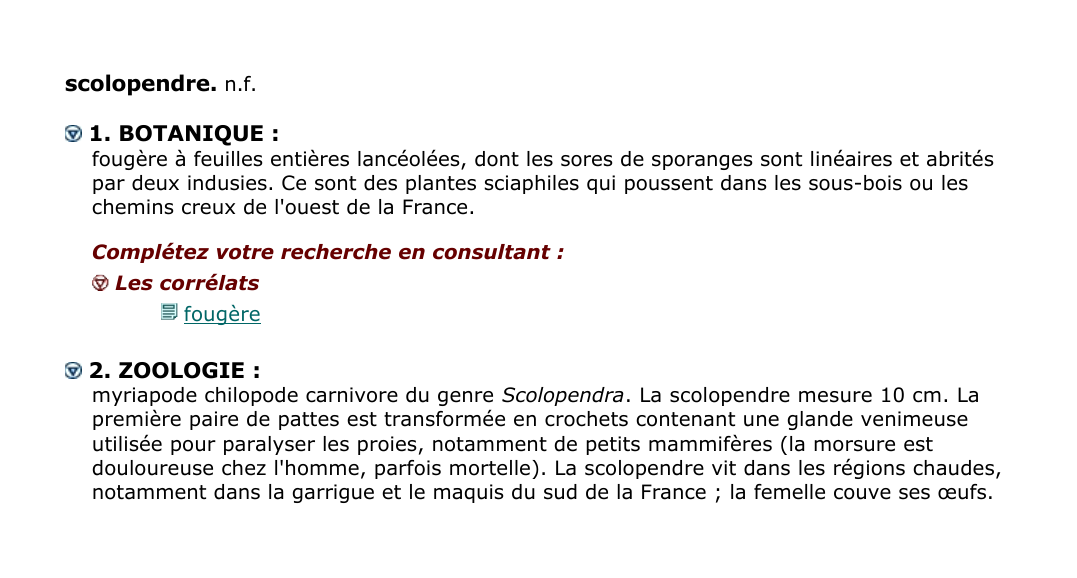 Prévisualisation du document scolopendre.