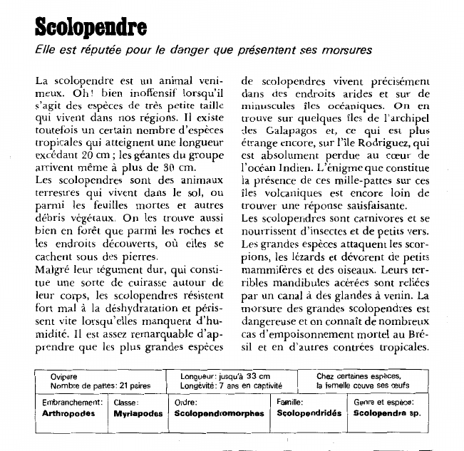 Prévisualisation du document Scolopendre:Elle est réputée pour le danger que présentent ses morsures.