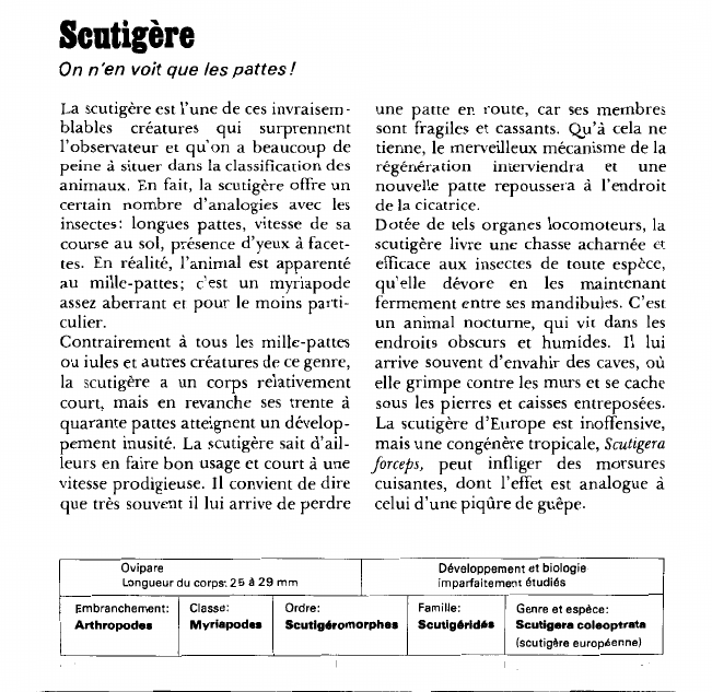 Prévisualisation du document Scutigère:On n'en voit que les pattes!