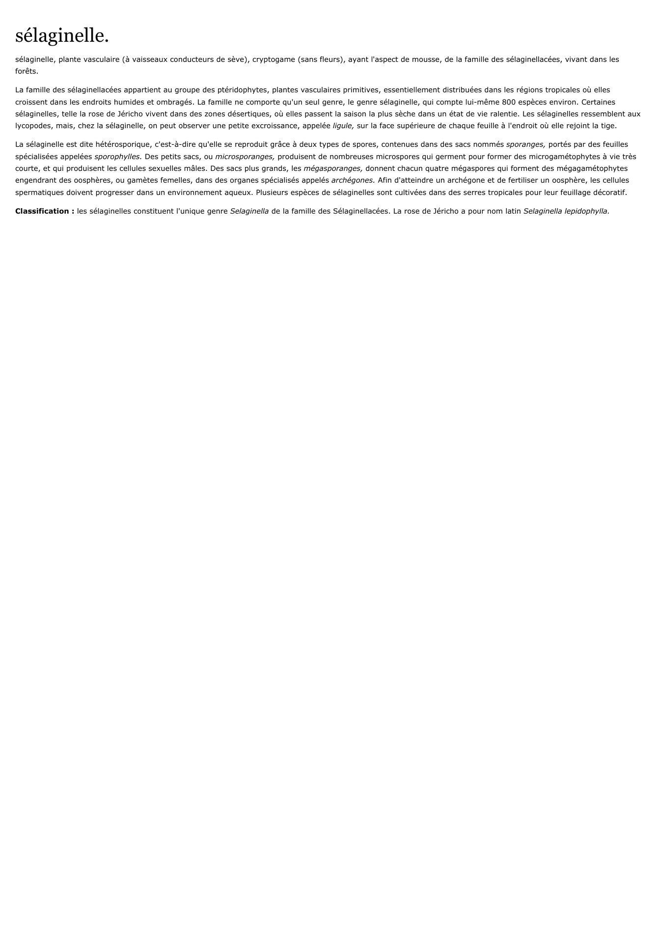 Prévisualisation du document sélaginelle.