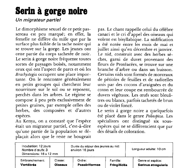 Prévisualisation du document Serin à gorge noire:Un migrateur partiel.