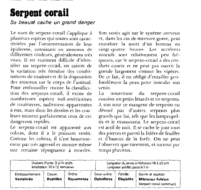 Prévisualisation du document Serpent-corail:Sa beauté cache un grand danger.