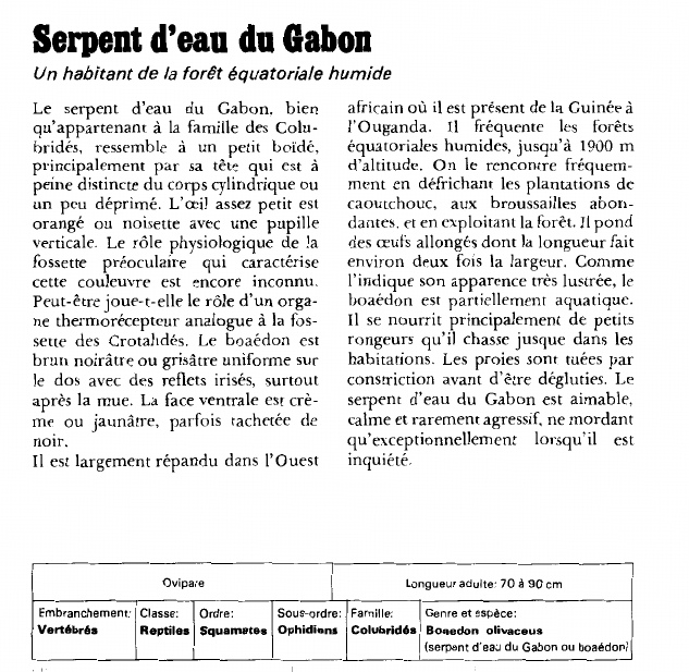 Prévisualisation du document Serpent d'eau du GabonUn habitant de la forêt équatoriale humide.