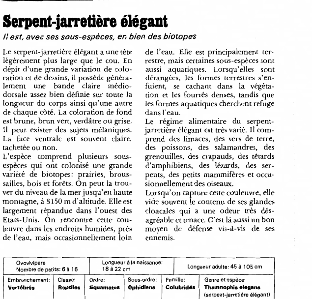 Prévisualisation du document Serpent-jarretière élégant:Il est, avec ses sous-espèces, en bien des biotopes.