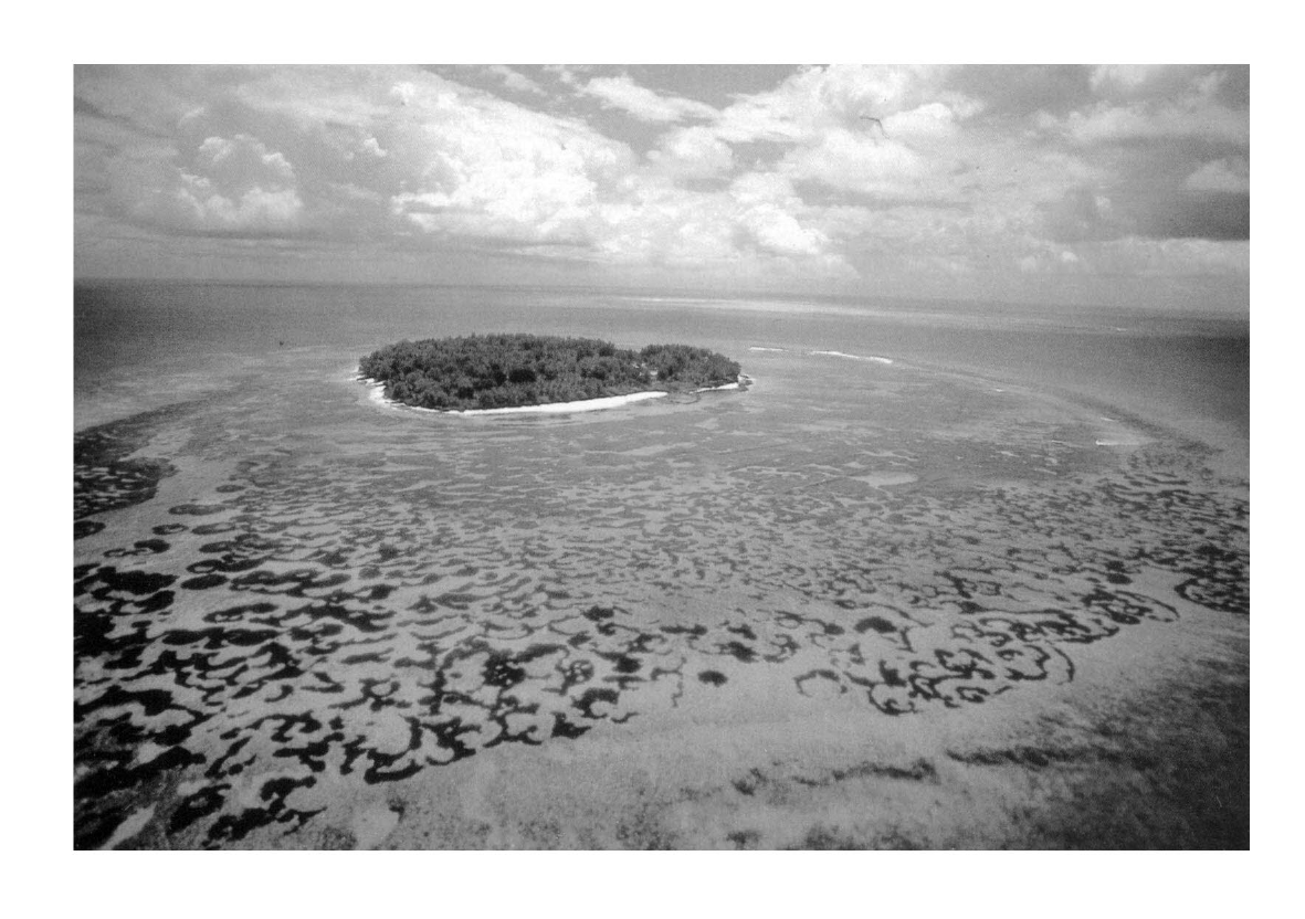 Prévisualisation du document SEYCHELLES : Île Remire