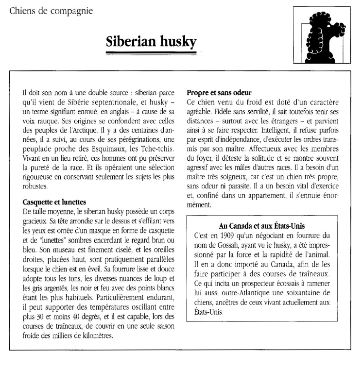 Prévisualisation du document Siberian husky.