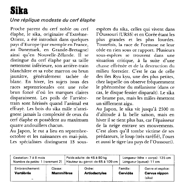 Prévisualisation du document Sika:Une réplique modeste du cerf élaphe.