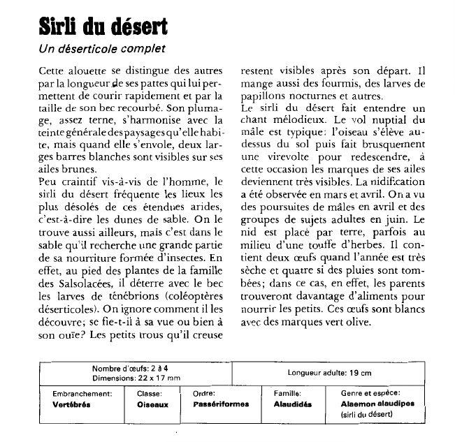 Prévisualisation du document Sirli du désert:Un déserticole complet.
