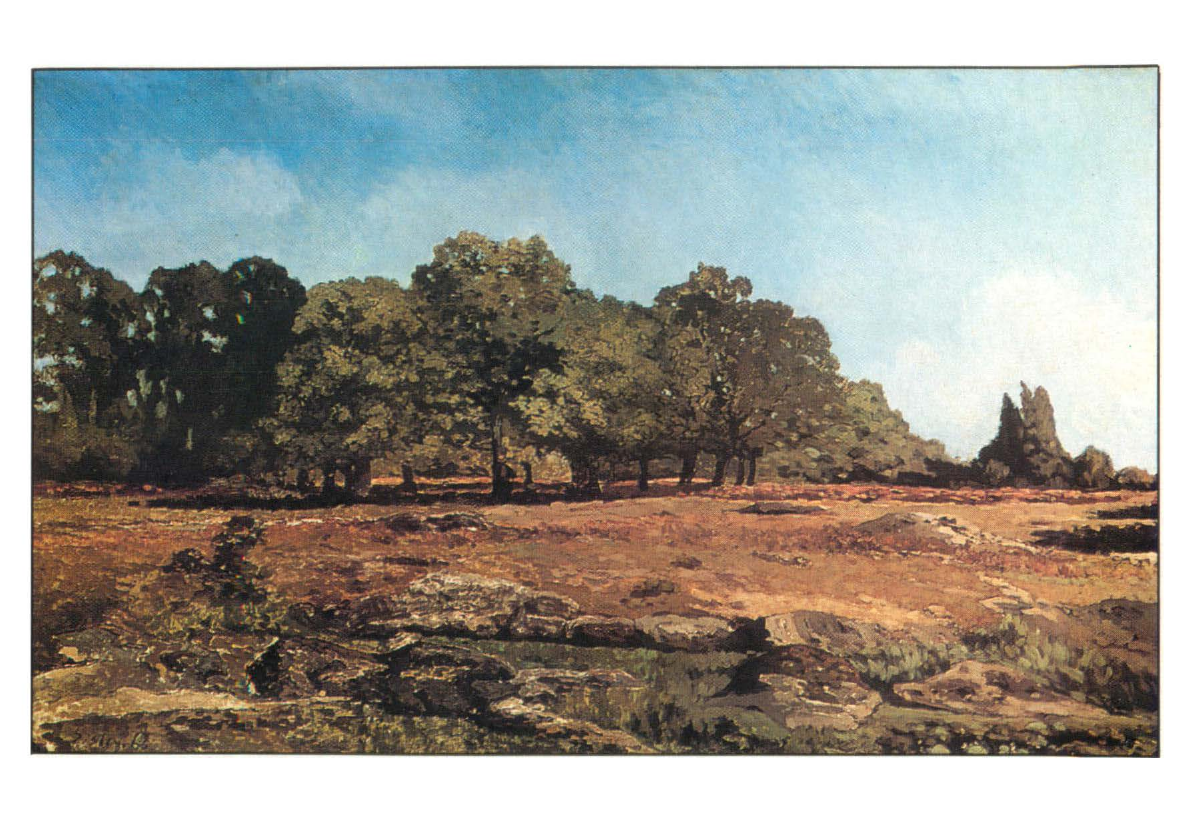 Prévisualisation Prévisualisation du document SISLEY Alfred : Lisière de la forêt à Fontainebleau