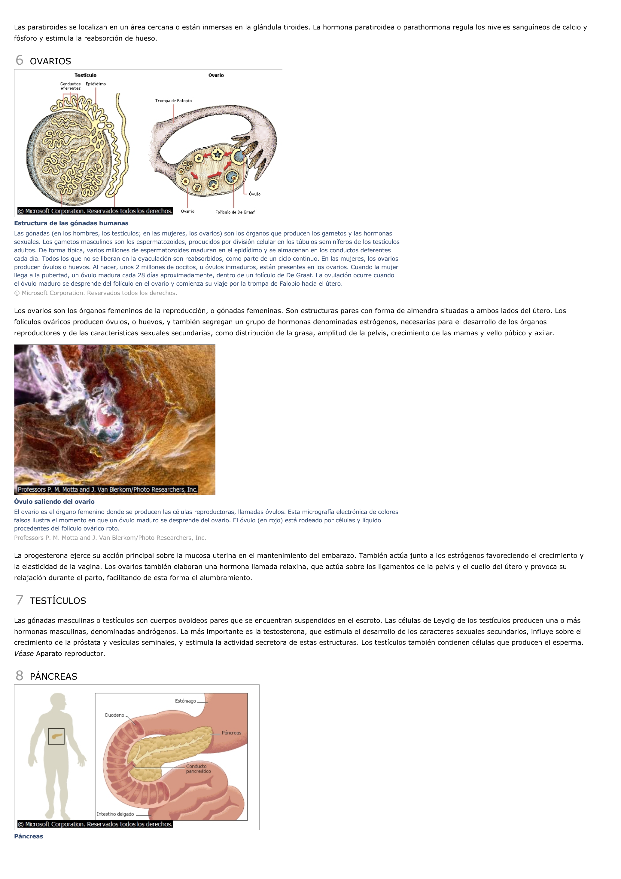 Prévisualisation du document Sistema endocrino - ciencias de la naturaleza.