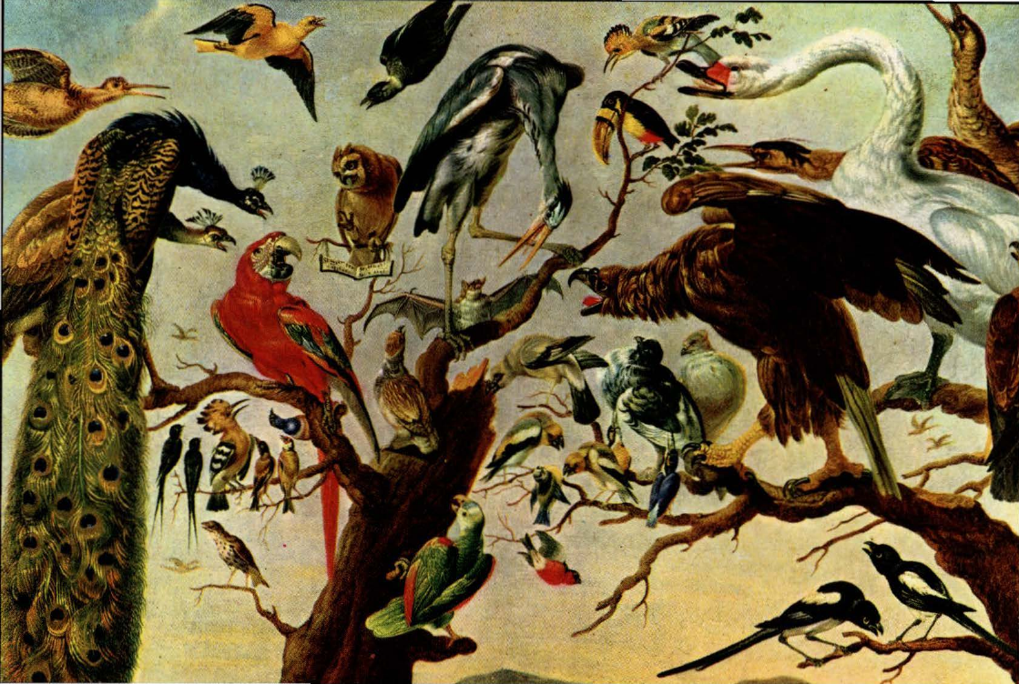 Prévisualisation du document SNYDERS Frans : Un Concert d'oiseaux sur un arbre  (analyse du tableau).