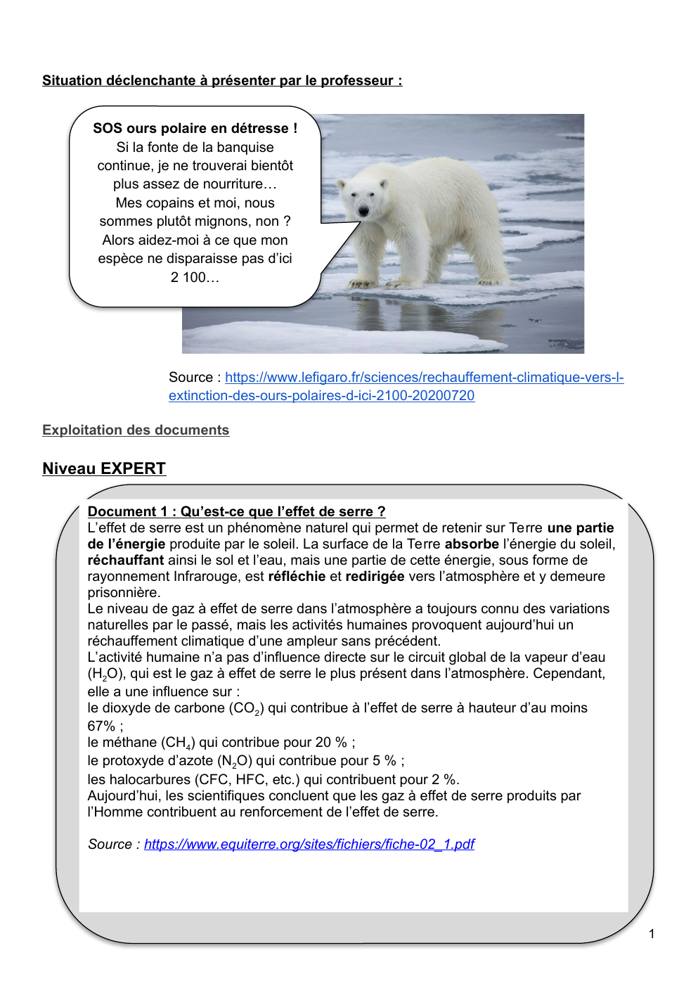 Prévisualisation du document SOS ours polaire en détresse !