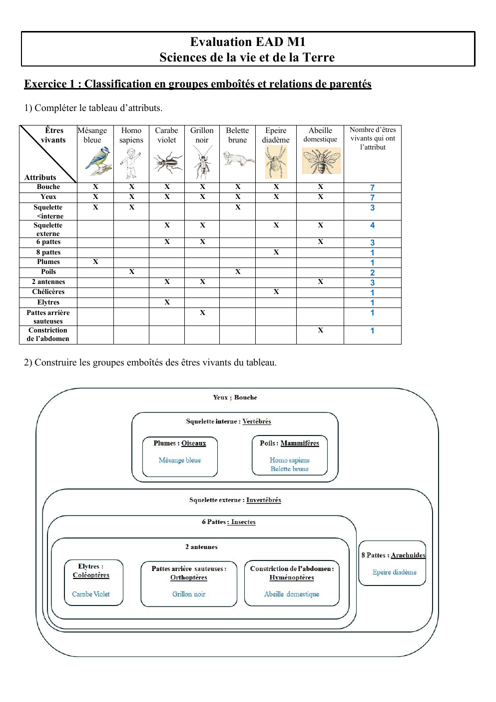 Prévisualisation du document sp physique evaluation