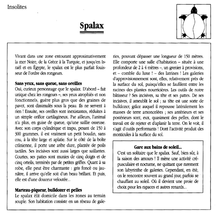 Prévisualisation du document Spalax.